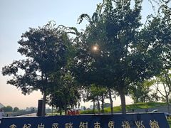 -秦始皇帝陵博物院-丽山园