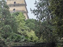 -大慈恩寺(大雁塔)