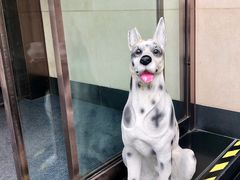 -松子料理(白家庄店)