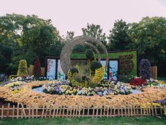 -上海共青森林公园