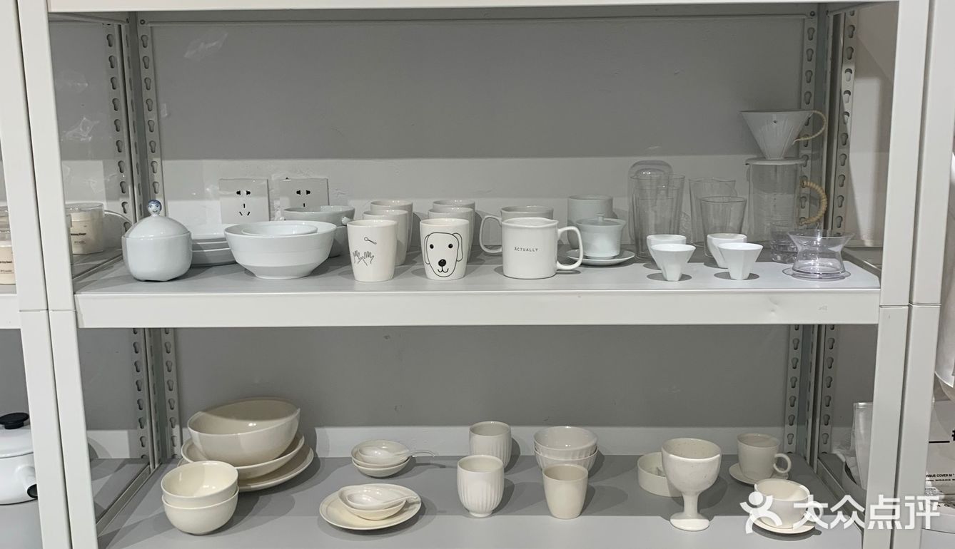 白色蒲公英的约定
