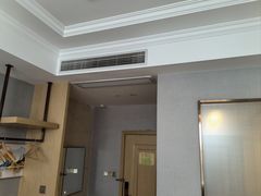 -维也纳酒店(苏州东方之门金鸡湖店)