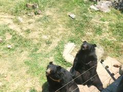 -无锡动物园·太湖欢乐园