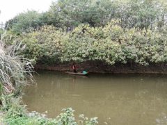 -白鹭湾湿地公园