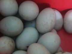 -微山湖湖畔好客居鱼馆渔家菜(微山湖风景区店)