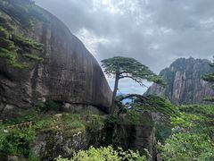 -黄山风景区