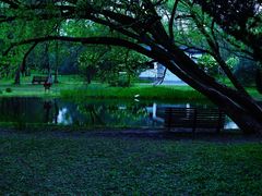 -上海共青森林公园