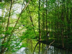 -桤木河湿地公园