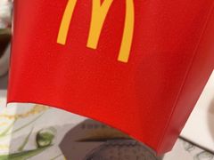 -麦当劳(北京大兴机场二层国内到达(安检外)店)