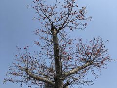 -大嶝英雄三岛战地观光园