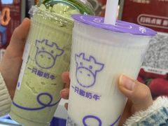 -一只酸奶牛(来福士店)