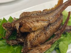 -瑞福园联谊餐室(茂名南路店)