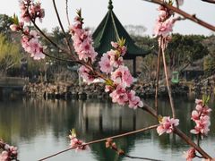 -无锡蠡湖国家湿地公园-蠡园