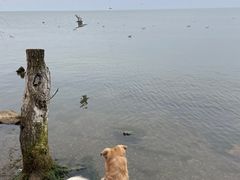 -捞渔河湿地公园