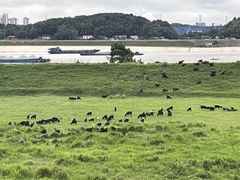 -明月山天沐温泉度假村