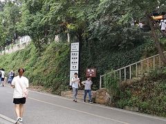 -茶颜悦色(岳麓山顶店)