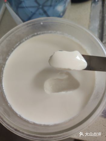 #0元玩转这座城现在在家自己做酸奶真的很方便呀