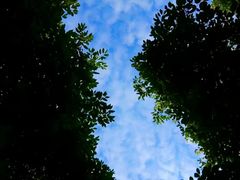-重庆彩云湖湿地公园