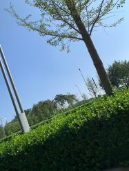 -HEYAN长风荷妍专业脱毛美肤
