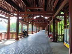 -重庆彩云湖湿地公园