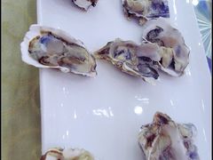 海岛渔村-生蚝-海岛渔村大酒店(云霄路店)
