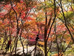 -崂山巨峰游览区