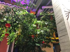 -巢爷老味(东方红店)