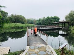 -同里国家湿地公园