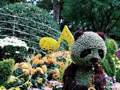-杭州植物园