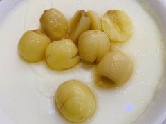 双皮奶-义顺牛奶公司(庇利金街店)