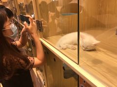-屋虎猫馆(宝安大仟里店)