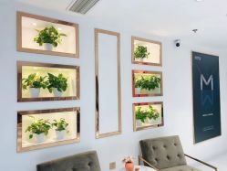 -MIVI野生眉纹绣纹眉