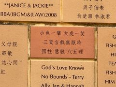 -香港大学