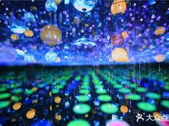 -祥源·阜阳生态乐园