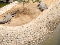 -石家庄市动物园