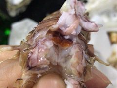 -大锅强·蒸海鲜青岛菜(吾悦广场店)