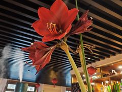 -申德勒加油站西餐厅(日坛路总店)