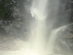 -莫里热带雨林景区