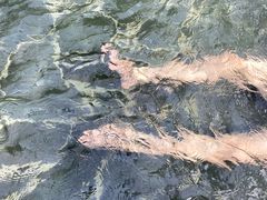 -龙达温泉生态城