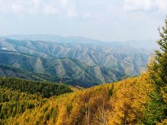 -苏木山森林公园