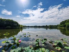 -上海市保健医疗中心