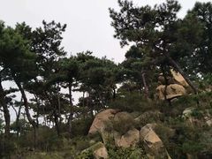 -徂徕山森林康养度假谷温泉