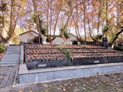 -T80科技文化国际社区-停车场