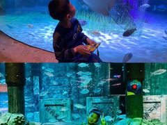 -沈阳海洋探索中心