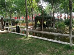 -草根堂农场