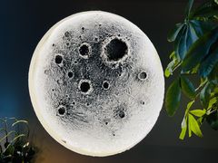 -BABANA烧烤·龙虾·海鲜