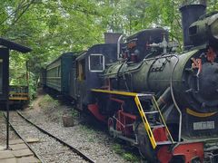 -五营红松林海景区