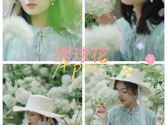 -温江公园