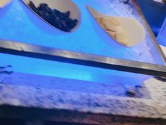 -厦门宝龙铂尔曼大酒店·海鲜自助餐厅