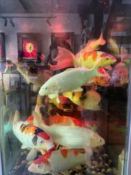 -雕哥的纹身店A3 TATTOO&纹身培训